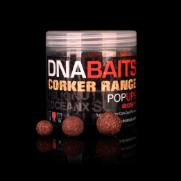 DNA Secret7 Cork Dust Pop-ups