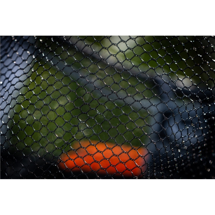 Guru Barb Safe Net