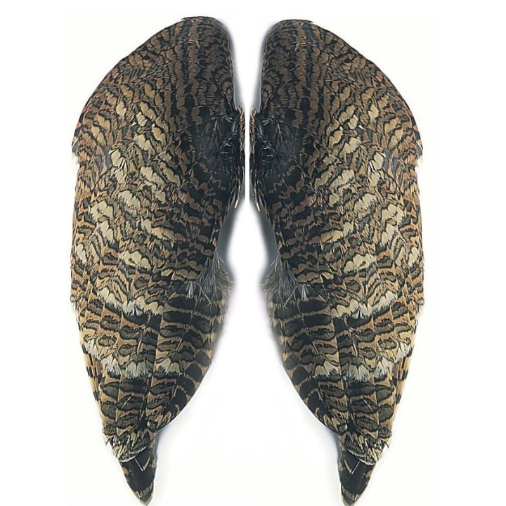 Veniard Woodcock Wings