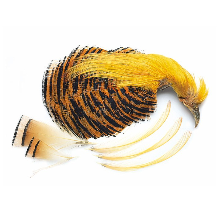 Veniard Golden Pheasant Complete Head