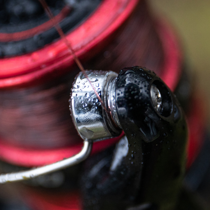 Shimano Sienna FG Reels