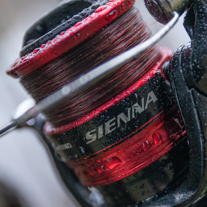 Shimano Sienna FG Reels