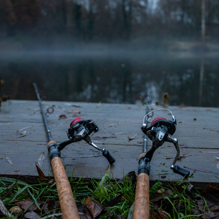 Shimano Sienna FG Reels