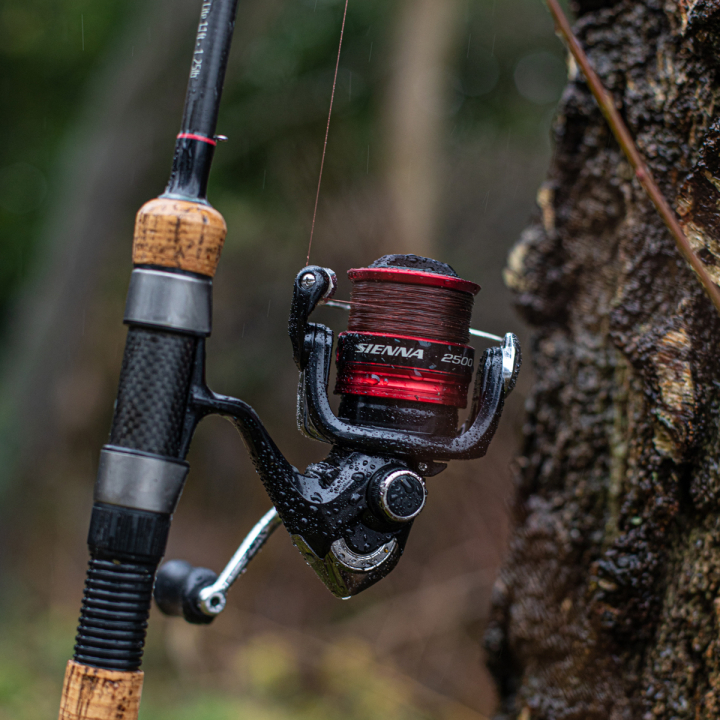 Shimano Sienna FG Reels