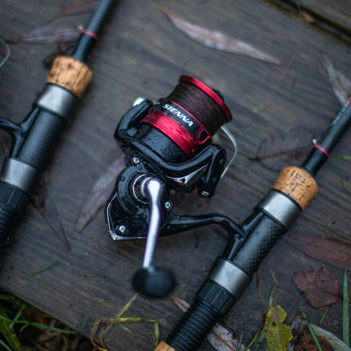 Shimano Sienna FG Reels