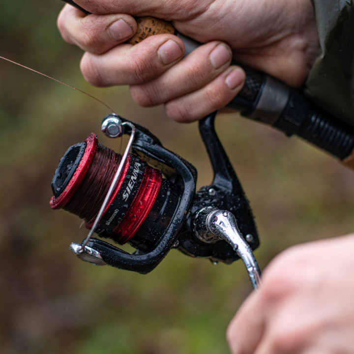 Shimano Sienna FG Reels