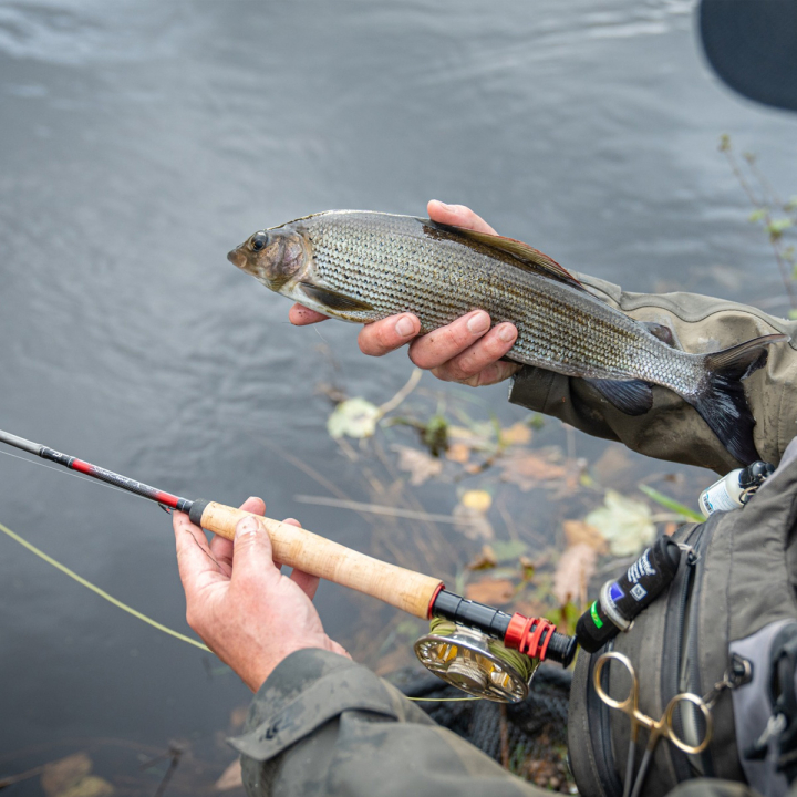 Daiwa Silvercreek X Fly Rods
