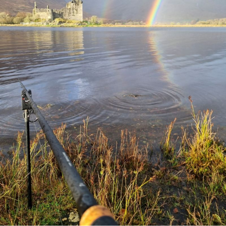 Daiwa Black Widow XT Deadbait Rods