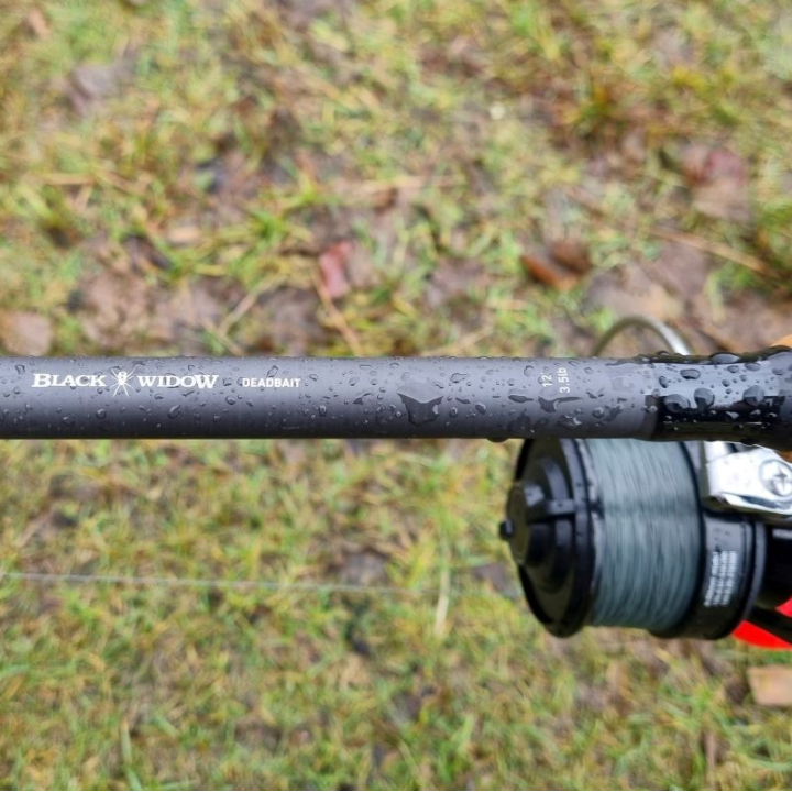 Daiwa Black Widow XT Deadbait Rods
