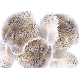 Veniard Partridge Grey Flank Feathers 1g