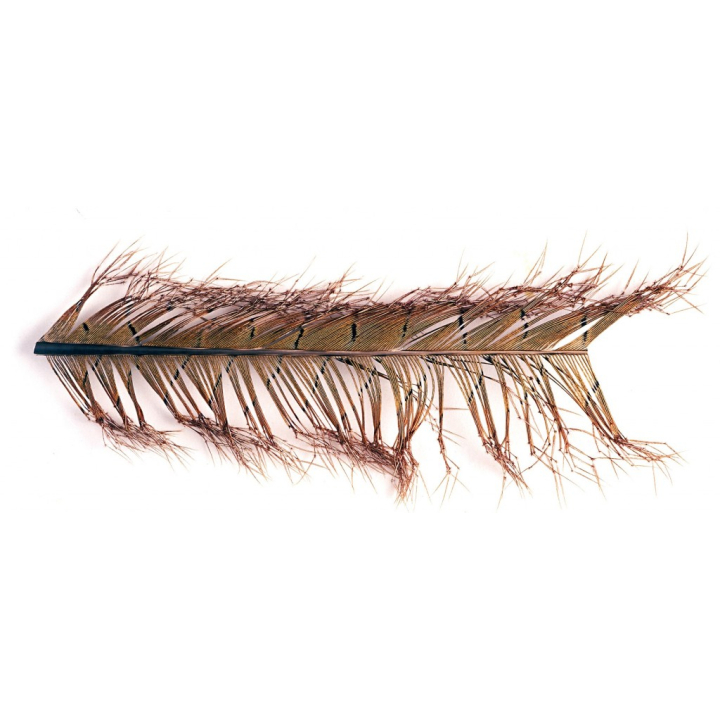 Veniard Cock Pheasant Knotted Tail On Quill