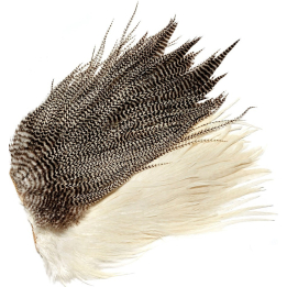 Veniard Genetic Saddle Grade 2