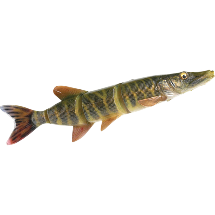 Savage Gear 4D Line Thru Pike