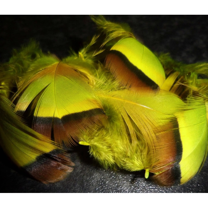 Irish Fly Supplies - Dyed French Partridge Feathers