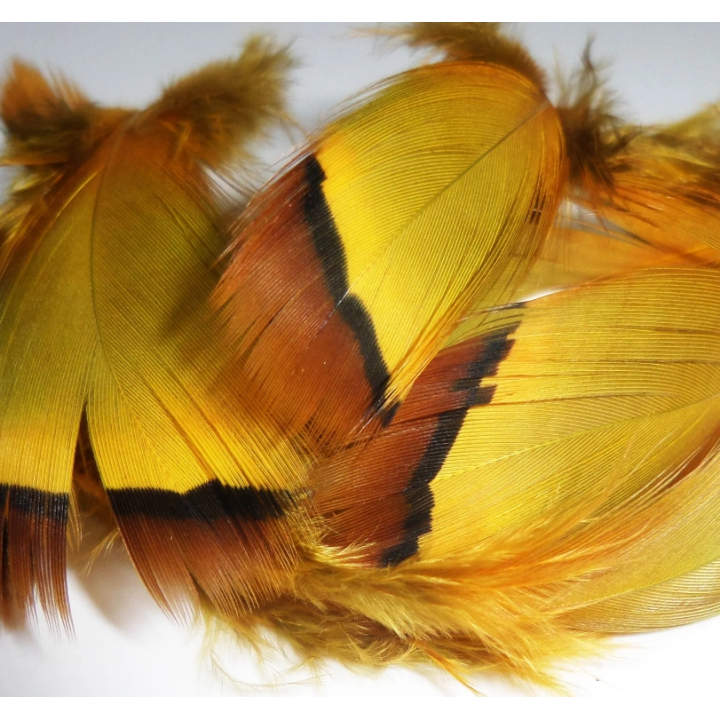 Irish Fly Supplies - Dyed French Partridge Feathers