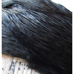 Irish Fly Supplies - Domestic Cock Necks
