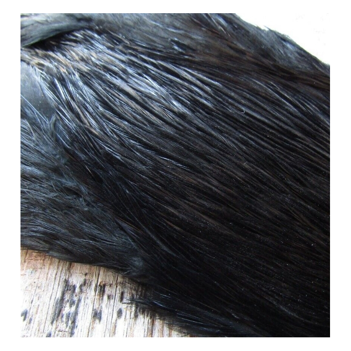 Irish Fly Supplies - Domestic Cock Necks