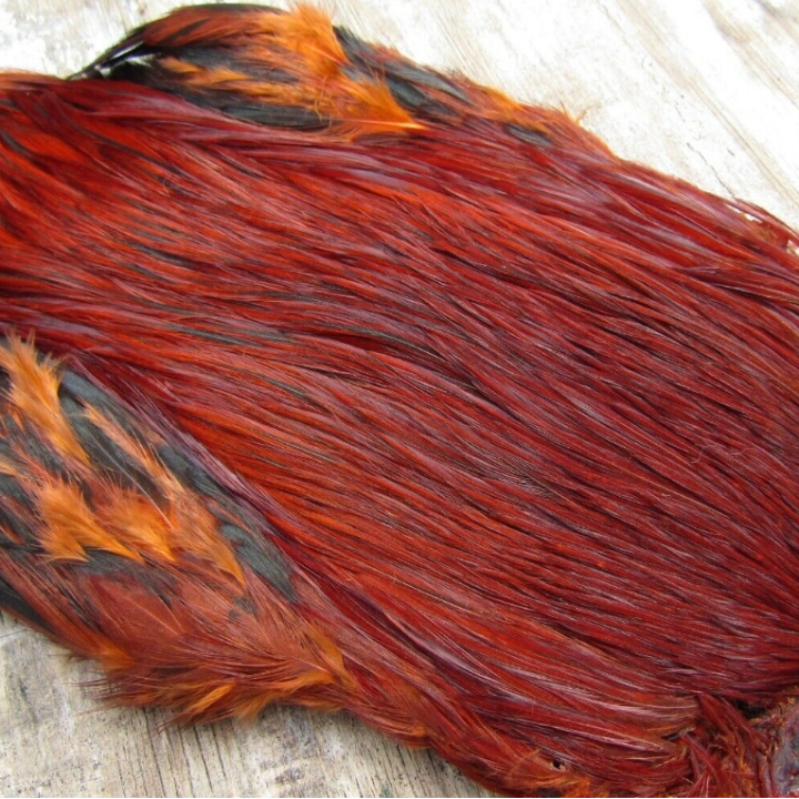 Irish Fly Supplies - Domestic Cock Necks