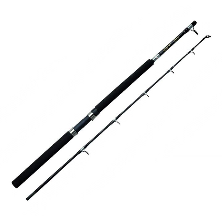 Abu Garcia GT 6ft 30lb Boat Rod