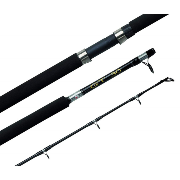 Abu Garcia GT 6ft 30lb Boat Rod