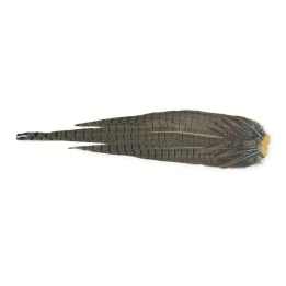 Veniard Pheasant Cock Complete Tails