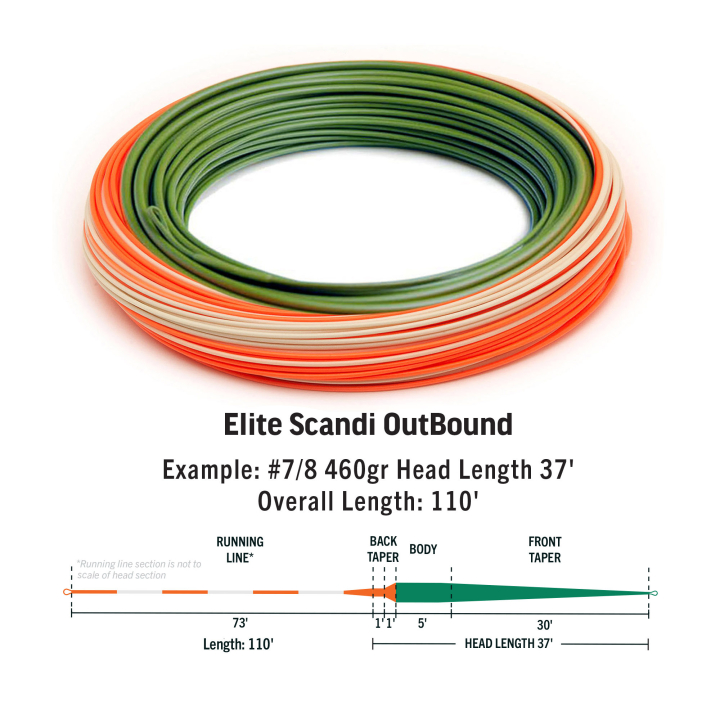 Rio Elite Integrated Scandi Outbound Fly Line - Floating