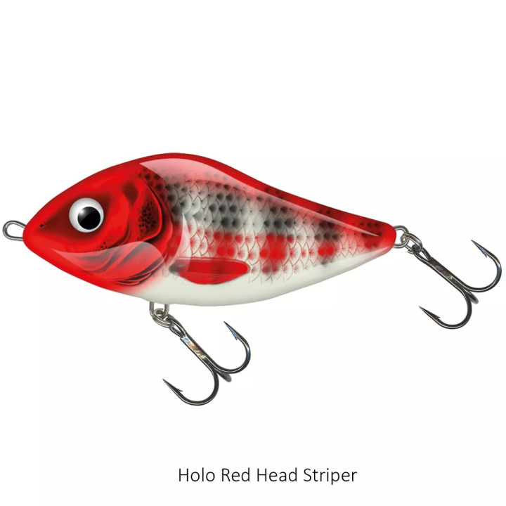 Salmo Slider 10cm Sinking Lure