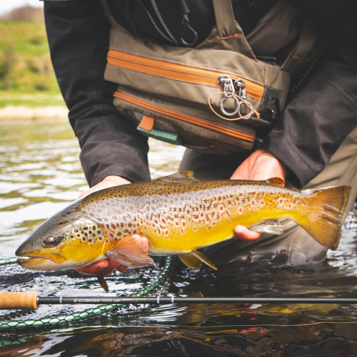 Sage R8 Core Fly Rods