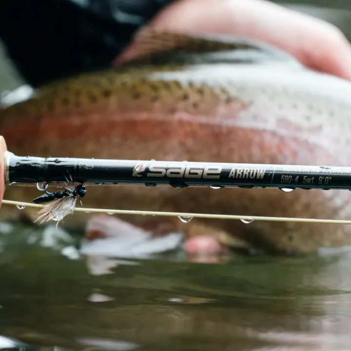 Sage Arrow Fly Rods