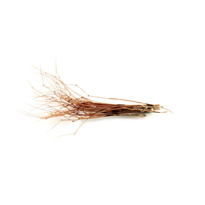 Veniard Daddy Legs
