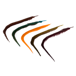 Veniard Cock Pheasant Center Tails