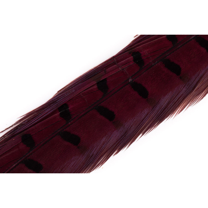 Veniard Cock Pheasant Center Tails