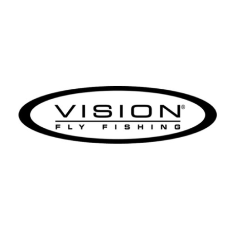 Vision